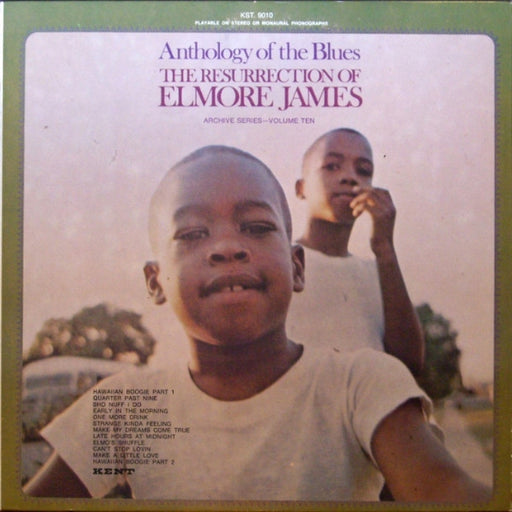 Elmore James – The Resurrection Of Elmore James (LP, Vinyl Record Album)