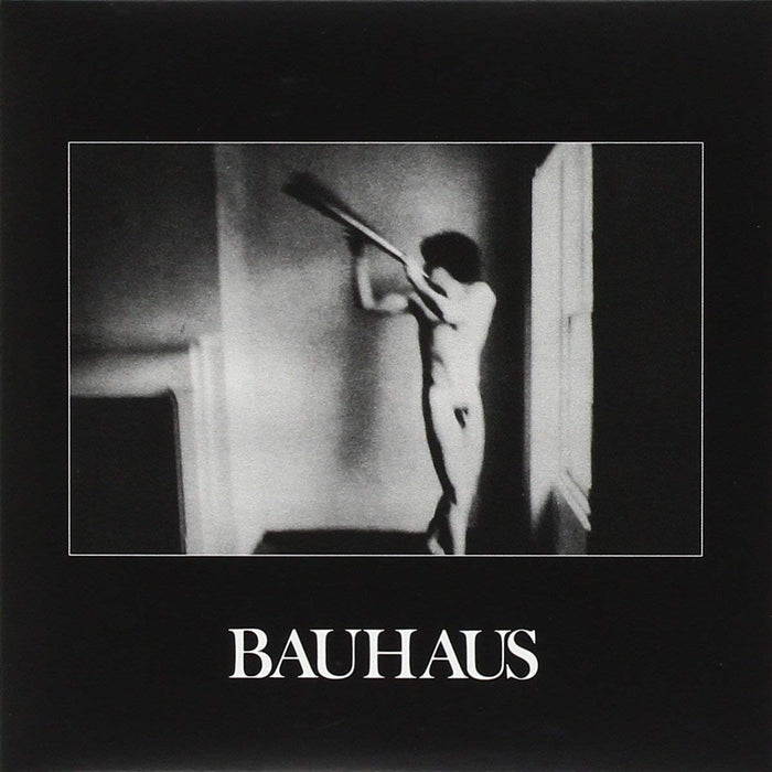 Bauhaus – In The Flat Field (LP, Vinyl Record Album)