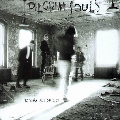 Pilgrim Souls – Is This All Of Us? (LP, Vinyl Record Album)