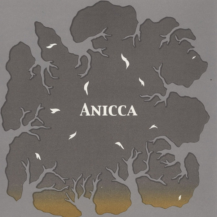 Okkyung Lee, Phil Minton – Anicca (LP, Vinyl Record Album)