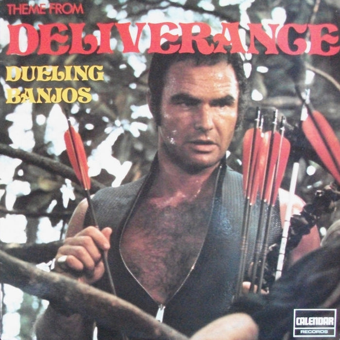 Pickin' Soup – The Theme From Deliverance - Dueling Banjos (LP, Vinyl Record Album)