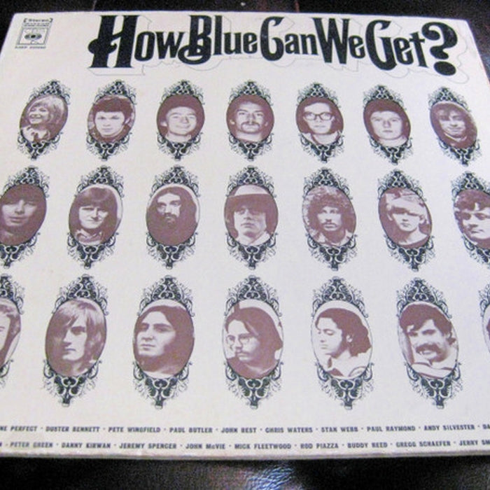 Various – How Blue Can We Get? (LP, Vinyl Record Album)