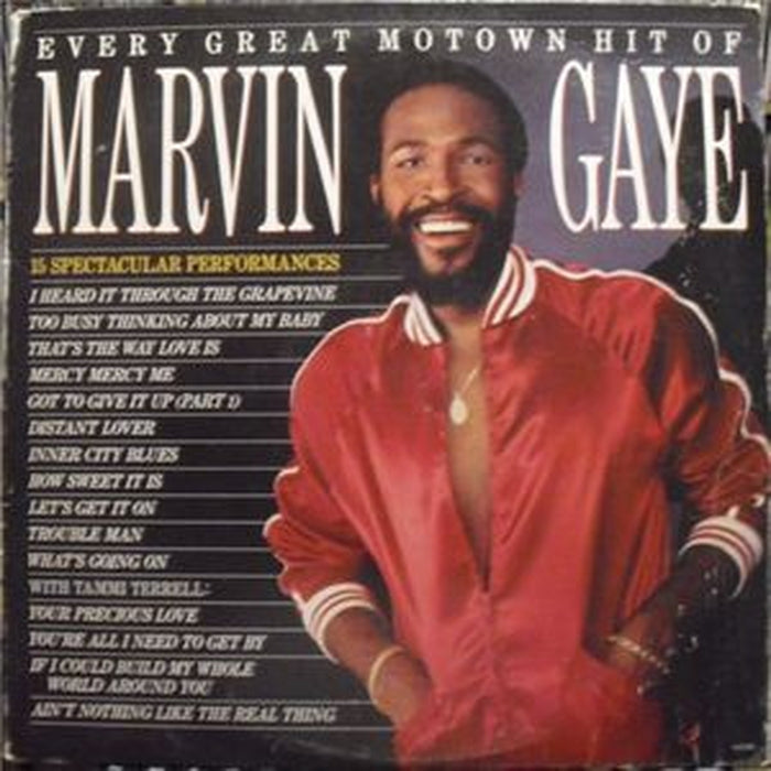 Marvin Gaye – Every Great Motown Hit Of Marvin Gaye (LP, Vinyl Record Album)