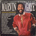 Marvin Gaye – Every Great Motown Hit Of Marvin Gaye (LP, Vinyl Record Album)