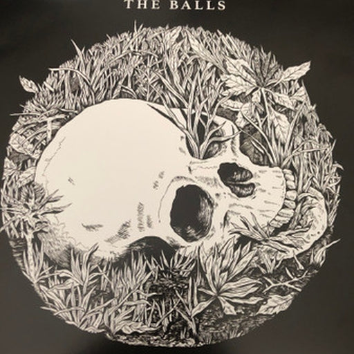 The Balls – The Beginning Or The End (LP, Vinyl Record Album)