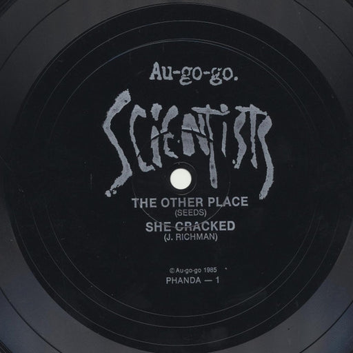 The Scientists – The Other Place (LP, Vinyl Record Album)