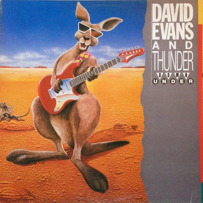 Dave Evans & Thunder Down Under – David Evans And Thunder Down Under (LP, Vinyl Record Album)