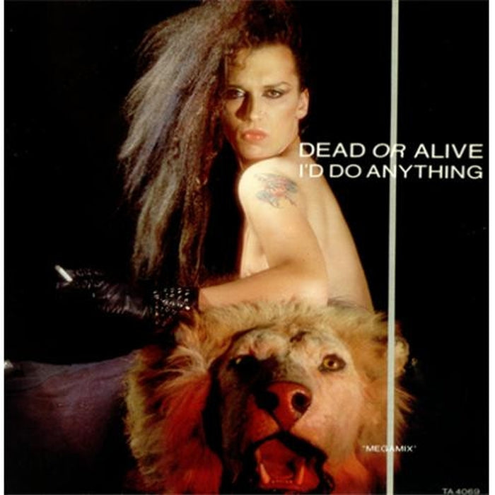 Dead Or Alive – I'd Do Anything (Megamix) (LP, Vinyl Record Album)