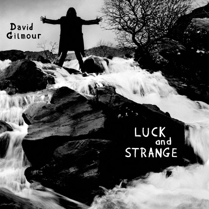 David Gilmour – Luck And Strange (LP, Vinyl Record Album)