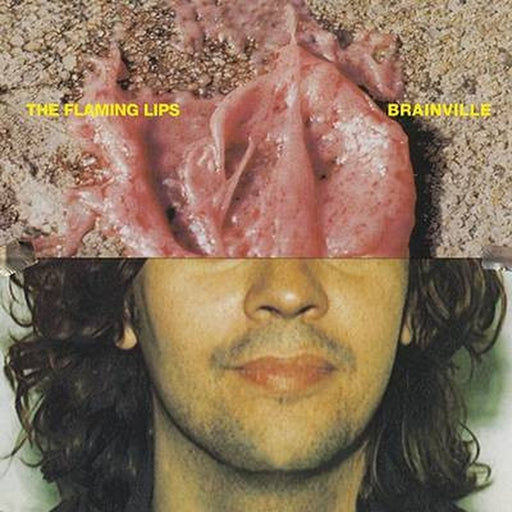 The Flaming Lips – Brainville (LP, Vinyl Record Album)