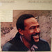 Marvin Gaye – Dream Of A Lifetime (LP, Vinyl Record Album)