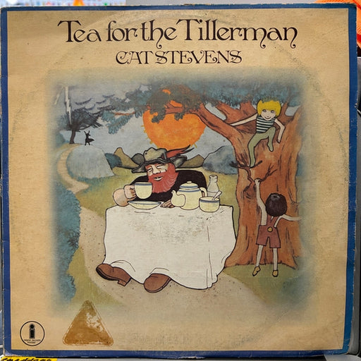 Cat Stevens – Tea For The Tillerman (LP, Vinyl Record Album)