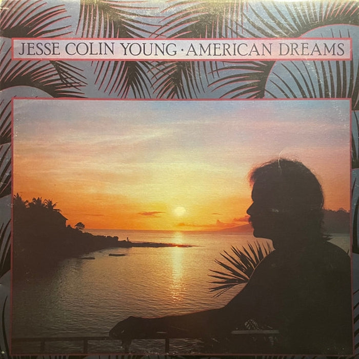 Jesse Colin Young – American Dreams (LP, Vinyl Record Album)