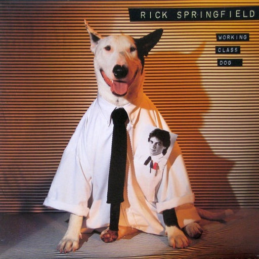 Rick Springfield – Working Class Dog (LP, Vinyl Record Album)