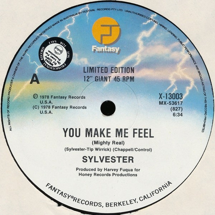 Sylvester – You Make Me Feel (Mighty Real) (LP, Vinyl Record Album)