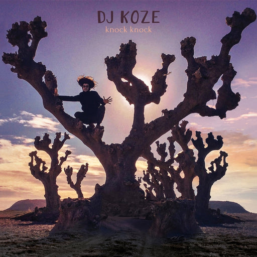 Knock Knock – DJ Koze (LP, Vinyl Record Album)