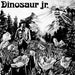 Dinosaur – Dinosaur Jr. (LP, Vinyl Record Album)