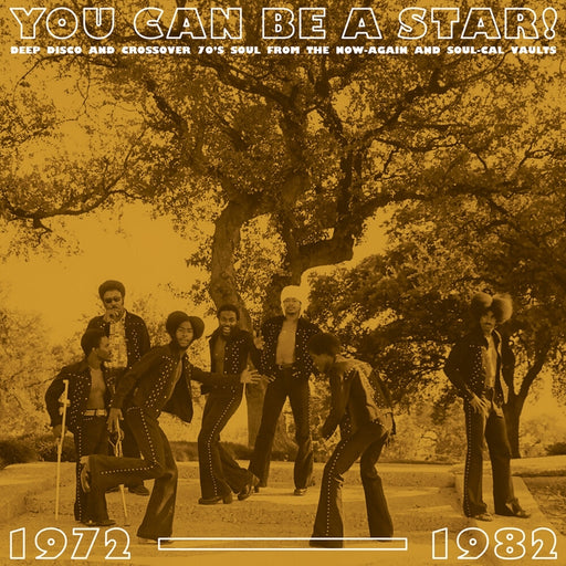 Various – You Can Be A Star! (LP, Vinyl Record Album)