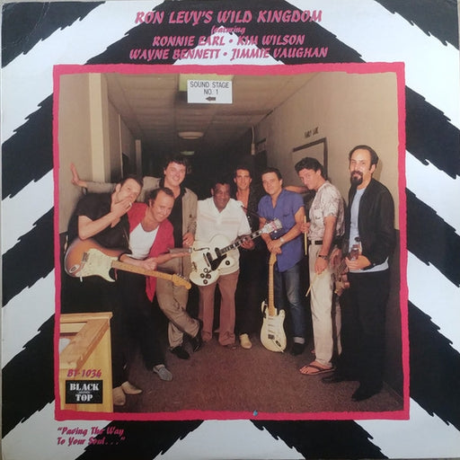 Ron Levy's Wild Kingdom, Ronnie Earl, Kim Wilson, Wayne Bennett, Jimmie Vaughan – Ron Levy's Wild Kingdom Featuring Ronnie Earl, Kim Wilson, Wayne Bennett, Jimmie Vaughan (LP, Vinyl Record Album)