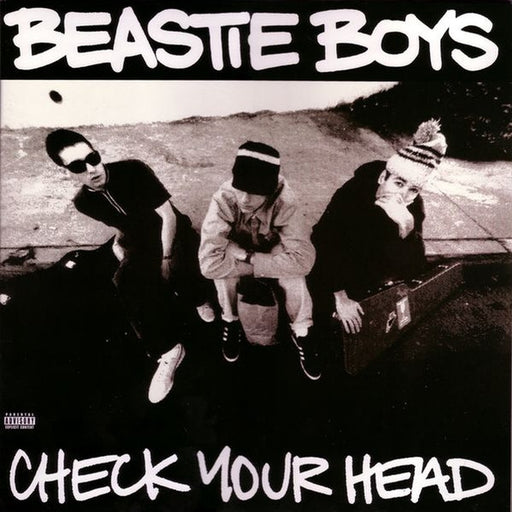 Beastie Boys – Check Your Head (LP, Vinyl Record Album)