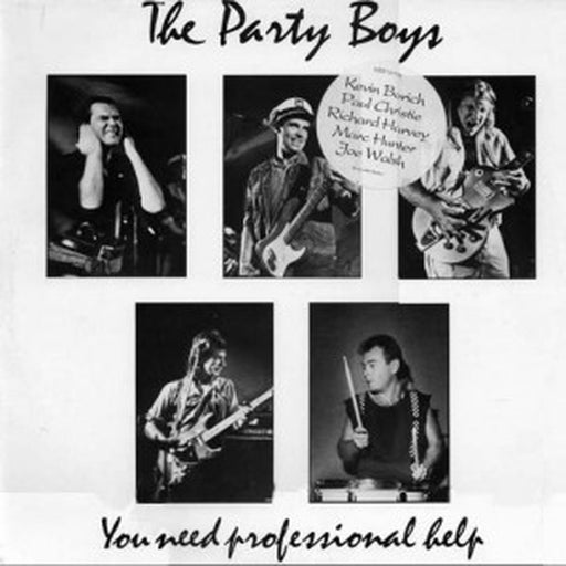 The Party Boys – You Need Professional Help (LP, Vinyl Record Album)