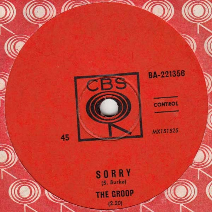 The Groop – Sorry / Who Do You Love (LP, Vinyl Record Album)