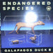 Galapagos Duck – Endangered Species (LP, Vinyl Record Album)