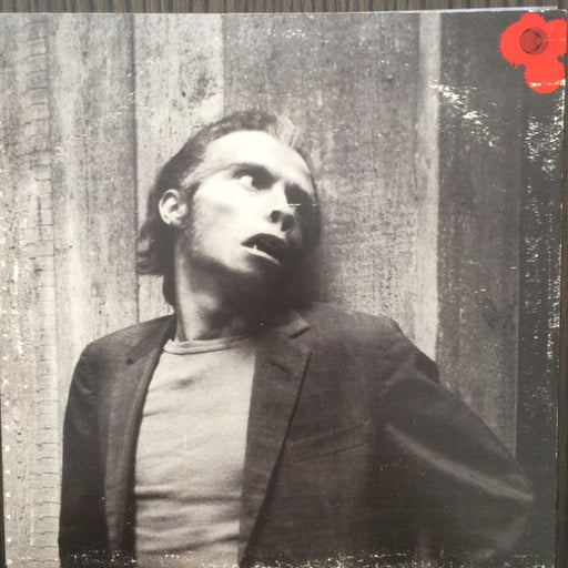 Graham Parker And The Rumour – The Parkerilla (LP, Vinyl Record Album)