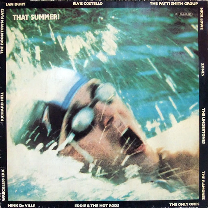 Various – That Summer! (LP, Vinyl Record Album)