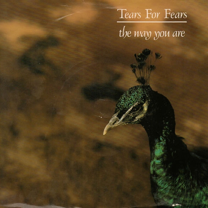 Tears For Fears – The Way You Are (LP, Vinyl Record Album)