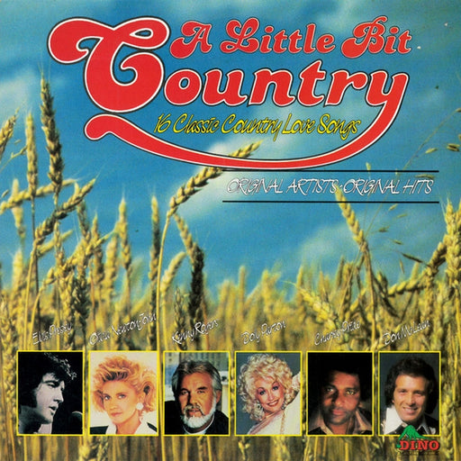 Various – A Little Bit Country (LP, Vinyl Record Album)