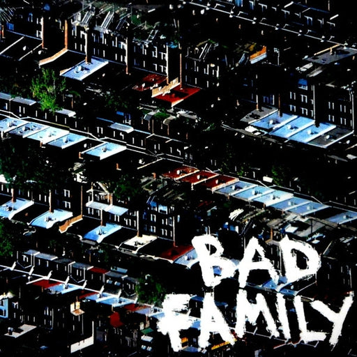 Bad Family – Bad Family (LP, Vinyl Record Album)